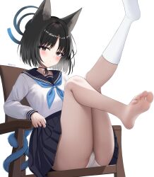 Rule 34 | 1girl, absurdres, animal ears, ass, black eyes, black hair, black sailor collar, black skirt, blue archive, blue halo, blue neckerchief, blush, cat ears, cat tail, chair, closed mouth, commentary, gugu0v0, halo, highres, kikyou (blue archive), long sleeves, looking at viewer, multiple tails, neckerchief, panties, pleated skirt, sailor collar, school uniform, serafuku, short hair, simple background, single sock, skirt, socks, soles, solo, tail, toes, twitter username, two tails, underwear, white background, white panties, white socks