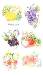 absurdres alternate_color blueberry cherry colored_pencil_(medium) creatures_(company) flower food fruit game_freak gen_4_pokemon grapes highres leaf lemon lemon_slice nintendo no_humans non_(kumakawayusu) open_mouth pachirisu peach pink_flower pokemon pokemon_(creature) ribbon simple_background strawberry traditional_media undersized_animal white_background white_flower yellow_ribbon