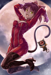Rule 34 | 10s, animal ears, bodysuit, boots, breasts, cat ears, cat mask, cat tail, cleavage, cleavage cutout, clothing cutout, cosplay, crossover, fake animal ears, full moon, gegege no kitarou, high heel boots, high heels, mask, moon, nekomusume, nekomusume (gegege no kitarou 6), persona, persona 5, purple hair, solo, tail, takamaki anne (cosplay), thighhighs, yellow eyes