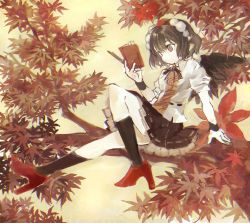Rule 34 | 1girl, autumn, autumn leaves, bird wings, black hair, black ribbon, black socks, black wings, blouse, book, collared shirt, commentary request, full body, hair between eyes, hat, high heels, holding, holding book, kneehighs, konabetate, neck ribbon, orange eyes, petticoat, pointy ears, pom pom (clothes), puffy short sleeves, puffy sleeves, red footwear, red hat, ribbon, ribbon-trimmed skirt, ribbon trim, shameimaru aya, shirt, short hair, short sleeves, socks, solo, tokin hat, touhou, white shirt, wings, wristband