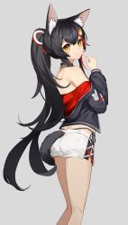 Rule 34 | 1girl, absurdres, animal ear fluff, animal ears, black hair, choker, cine (wazd0183), clothes down, grey background, highres, hololive, hood, hood down, hoodie, long hair, long sleeves, looking at viewer, looking to the side, ookami mio, ookami mio (casual), orange eyes, ponytail, red hair, short shorts, shorts, simple background, standing, tail, very long hair, virtual youtuber, white shorts, wolf ears, wolf girl, wolf tail