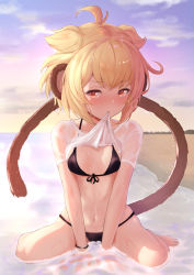 Rule 34 | 1girl, ahoge, andira (granblue fantasy), animal ears, beach, bikini, black bikini, blonde hair, blush, breasts, clothes in mouth, clothes lift, erune, front-tie bikini top, front-tie top, full body, granblue fantasy, highres, kimblee, lifting own clothes, looking at viewer, medium hair, monkey ears, monkey tail, mouth hold, navel, ocean, outdoors, red eyes, shirt, shirt in mouth, shirt lift, sitting, small breasts, solo, summer, swimsuit, tail, v arms, wet, wet clothes, wet shirt, white shirt