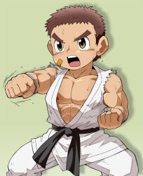 Rule 34 | 1boy, bandaid, bandaid on cheek, bandaid on face, belt, black belt, brown hair, clenched hands, commentary request, difeihong, dougi, facing viewer, fighting stance, green background, highres, hunter x hunter, incoming attack, incoming punch, male focus, muscular, muscular child, open mouth, punching, short hair, simple background, solo, zushi