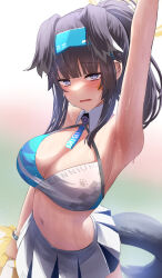 Rule 34 | 1girl, animal ears, arm up, armpits, black hair, blue archive, breasts, cheerleader, cleavage, commentary, detached collar, dog ears, dog girl, dog tail, facial mark, goggles, goggles on head, grey eyes, halo, hibiki (blue archive), hibiki (cheer squad) (blue archive), highres, holding, holding pom poms, large breasts, long hair, looking at viewer, millennium cheerleader outfit (blue archive), navel, official alternate costume, open mouth, pleated skirt, pom pom (cheerleading), pom poms, ponytail, sidelocks, silver bullet (ecc12 8), skirt, sleeveless, solo, star (symbol), stomach, sweat, tail, white skirt