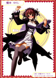Rule 34 | 1girl, berry&#039;s, blush, carrying, character name, character profile, female focus, fingernails, full-face blush, gothic lolita, grey thighhighs, hairband, hashimoto takashi, heart work, highres, legs, lolita fashion, lolita hairband, looking at viewer, maid headdress, mary janes, neck ribbon, ribbon, shoes, short hair, solo, standing, standing on one leg, tatsumi wakaba, thighhighs, thighs, tray, waitress