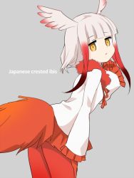 Rule 34 | 10s, 1girl, bent over, bird tail, blunt bangs, character name, collar, commentary, drawstring, english text, expressionless, eyelashes, frilled sleeves, frills, from behind, from side, fur collar, gloves, gradient hair, grey background, head wings, ica, japanese crested ibis (kemono friends), jitome, kemono friends, long sleeves, looking at viewer, looking back, multicolored hair, open mouth, pantyhose, red gloves, red hair, red pantyhose, shirt, short hair, short hair with long locks, sidelocks, simple background, sleeves past wrists, solo, tail, two-tone hair, white hair, white shirt, wide sleeves, wings, yellow eyes