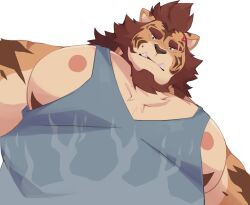 Rule 34 | 1boy, afterclass vn, anger vein, animal ears, bara, beard, blue eyes, blue tank top, brown hair, bweno v, facial hair, foreshortening, from below, frown, furry, furry male, large pectorals, lars (afterclasd vn), looking at viewer, looking down, male focus, meme, muscular, muscular male, nipple slip, nipples, pectoral cleavage, pectoral focus, pectorals, photo-referenced, short hair, sidepec, solo, tank top, thick beard, thick eyebrows, tiger boy, tiger ears, upper body, yur oc like this (meme)