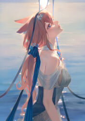 Rule 34 | 1girl, amiya (arknights), animal ears, arknights, bare shoulders, blue eyes, breasts, brown hair, dress, from side, highres, lips, long hair, looking up, medium breasts, outdoors, pamafff, ponytail, profile, rabbit ears, rabbit girl, solo, sunset, water, white dress