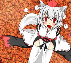 Rule 34 | 1girl, animal ears, autumn leaves, bare shoulders, blush, breasts, cleavage, detached sleeves, fang, haneko (1998), hat, inubashiri momiji, kourindou tengu costume, large breasts, leaf, looking at viewer, open mouth, pom pom (clothes), red eyes, short hair, silver hair, sitting, skirt, solo, tail, tokin hat, touhou, white legwear, wolf ears, wolf tail
