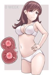 Rule 34 | 1girl, absurdres, angry, border, bra, breasts, brown eyes, brown hair, commentary request, fertilization, frown, garylin, hand on own hip, highres, impregnation, kantai collection, large breasts, long hair, looking at viewer, ooi (kancolle), ovum, panties, purple background, solo, sperm cell, underwear, underwear only, white border, white bra, white panties