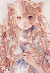 Rule 34 | 1girl, animal ear fluff, animal ears, cat ears, closed mouth, curly hair, eyelashes, flat chest, flower, flower-shaped pupils, grey background, hair flower, hair ornament, highres, light brown hair, long hair, looking at viewer, orange eyes, orie h, original, shirt tug, solo, symbol-shaped pupils, upper body, white flower