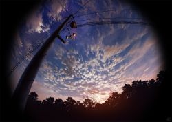 Rule 34 | blue sky, cloud, cloudy sky, commentary request, fisheye, mocha (cotton), no humans, original, outdoors, power lines, scenery, signature, silhouette, sky, sunset, tree, utility pole