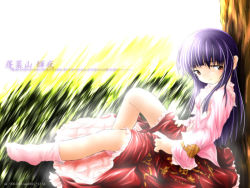 Rule 34 | 1girl, against tree, bare legs, blouse, clothes lift, dress, dress lift, duplicate, female focus, from side, full body, grass, houraisan kaguya, long hair, long sleeves, looking at viewer, looking to the side, nobuyuki, pink socks, plant, purple eyes, purple hair, red skirt, shirt, sitting, skirt, socks, solo, touhou, tree
