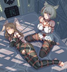 Rule 34 | 2girls, absurdres, animal ear fluff, animal ears, arms behind back, bar censor, bare shoulders, black bodysuit, black pantyhose, blue eyes, bodysuit, bound, bound arms, bound legs, braid, breasts, brown hair, camisole, censored, chinese commentary, commentary request, eunie (xenoblade), feathered wings, full body, grey hair, harness, head wings, highres, indoors, large breasts, leveen, long hair, looking at viewer, lying, mio (xenoblade), multiple girls, o-ring, o-ring harness, on side, pantyhose, pussy, shibari, shibari over clothes, short hair, single braid, sitting, skindentation, stirrup legwear, toeless legwear, toes, torn bodysuit, torn clothes, torn pantyhose, wariza, white camisole, white wings, wings, xenoblade chronicles (series), xenoblade chronicles 3, yellow eyes