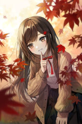 Rule 34 | 1girl, autumn, autumn leaves, black skirt, blurry, blurry foreground, blush, brown eyes, brown hair, brown jacket, cowboy shot, finger to mouth, forest, highres, jacket, leaf, long hair, looking at viewer, maple leaf, nature, open clothes, open jacket, original, pleated skirt, plus1024, red ribbon, ribbon, school uniform, shirt, shushing, skirt, smile, standing, sunlight, swept bangs, uniform, white shirt
