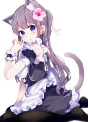 Rule 34 | 1girl, animal ears, apron, black dress, black pantyhose, blush, brown hair, cat ears, cat girl, cat tail, chikuwa., commentary, dress, flower, frilled apron, frills, hair flower, hair ornament, head tilt, heart, highres, long hair, maid, no shoes, one side up, original, pantyhose, parted lips, pink flower, puffy short sleeves, puffy sleeves, purple eyes, romaji commentary, short sleeves, simple background, sitting, solo, tail, tail raised, very long hair, waist apron, wariza, white apron, white background, wrist cuffs