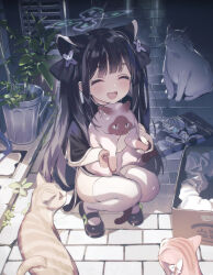 Rule 34 | 1girl, alley, animal, animal ears, black dress, black footwear, black hair, black ribbon, blue archive, cat, china dress, chinese clothes, closed eyes, dress, hair ribbon, halo, highres, holding, holding animal, holding cat, kaerunoko, long hair, mary janes, open mouth, outdoors, plant, potted plant, ribbon, shoes, shun (blue archive), shun (small) (blue archive), smile, solo, squatting, thighhighs, thighs, twintails, very long hair, white thighhighs