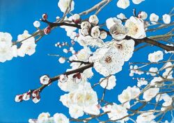 Rule 34 | blue sky, branch, flower, no humans, original, painting (medium), plum blossoms, realistic, sky, still life, toirom pmxh, traditional media, tree, watercolor (medium), white flower