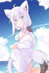 Rule 34 | 1girl, absurdres, ahoge, animal ear fluff, animal ears, beach, bikini, black bow, blue bikini, blush, bow, breasts, chinoru, cloud, cloudy sky, commentary request, day, earrings, fox ears, fox girl, fox tail, green eyes, hair between eyes, hair bow, highres, hololive, jewelry, looking at viewer, looking to the side, ocean, open clothes, open shirt, outdoors, pentagram, shirakami fubuki, shirt, sky, small breasts, smile, solo, swimsuit, tail, virtual youtuber, white hair, white shirt