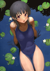 Rule 34 | 1girl, arm support, black hair, blue one-piece swimsuit, blunt bangs, commentary request, from above, furuyama itaru, lily pad, long hair, looking at viewer, new school swimsuit, one-piece swimsuit, original, partially submerged, purple eyes, school swimsuit, sitting, solo, swimsuit, water, water lily flower