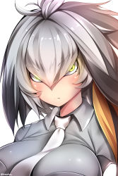Rule 34 | 10s, 1girl, alternate breast size, artist name, blush, breasts, character name, collared shirt, grey hair, grey shirt, hair between eyes, head wings, highres, kemono friends, kentchiro souriyadeth, large breasts, looking at viewer, necktie, shiny clothes, shirt, shoebill (kemono friends), short hair, signature, simple background, solo, twitter username, white background, white necktie, wings, yellow eyes