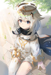 Rule 34 | 1girl, absurdres, blue eyes, cape, dress, genshin impact, halo, highres, looking at viewer, paimon (genshin impact), scarf, short hair, sitting, taht (that is mm), tree, branch, white dress, white hair