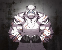 Rule 34 | 1boy, abs, absurdres, animal ears, arknights, bandages, bara, biceps, black gloves, cowboy shot, facial scar, fingerless gloves, flexing, furry, furry male, gloves, glowing, glowing eyes, highres, large pectorals, male focus, mountain (arknights), muscular, muscular male, no nipples, orpiam, pants, pectorals, scar, scar across eye, scar on arm, scar on cheek, scar on chest, scar on face, short hair, solo, tiger boy, tiger ears, tiger stripes, topless male, white fur, white pants