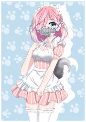 Rule 34 | 1girl, absurdres, animal ears, apron, blue background, blue eyes, blue ribbon, breasts, cleavage, collar, frilled thighhighs, frills, hair over eyes, hair ribbon, hand on own chest, headphones, highres, kyou no cerberus, looking at viewer, maid, maid headdress, medium breasts, medium hair, muzzle, nepsuka (hachisuka), paw print, pink hair, pink skirt, pleated skirt, puffy sleeves, ribbon, roze (kyou no cerberus), short sleeves, skirt, tail, thighhighs, white ribbon, wolf tail