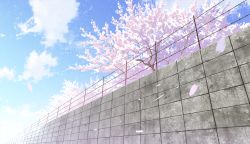 Rule 34 | blue sky, cherry blossoms, cloud, day, fence, flower, mocha (cotton), no humans, original, outdoors, petals, pink flower, scenery, sky, tree, wall