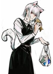 Rule 34 | 1girl, absurdres, animal ears, bag, cat ears, cat tail, chainsaw man, dress, earrings, fami (chainsaw man), food, fourth east high school uniform, grocery bag, highres, jewelry, looking at viewer, mkmwyydlp, mole, mole under eye, mole under mouth, multiple moles, pinafore dress, red eyes, ringed eyes, school uniform, shopping bag, short hair, simple background, sleeveless, sleeveless dress, solo, tail, taiyaki, tassel, tassel earrings, wagashi, white background, white hair