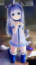 Rule 34 | 1girl, ahoge, animal ears, arm at side, bare shoulders, blood, blue eyes, blue thighhighs, bottomless, cat ears, cat tail, chestnut mouth, choker, commentary request, dress, dripping, fake blood, full body, gineko (hobbyist777), gochuumon wa usagi desu ka?, hair ornament, hairband, hand on own chest, head tilt, highres, indoors, kafuu chino, kneeling, long hair, looking at viewer, no panties, rabbit, scythe, see-through, shoes, unworn shoes, solo, stab, stuffed animal, stuffed toy, tail, thighhighs, wet, white dress, white hair, window, x hair ornament, zettai ryouiki