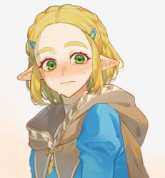 Rule 34 | 1girl, blue shirt, blush, braid, brown cape, cape, crown braid, green eyes, hair ornament, hairclip, highres, hood, hood down, hooded cape, itou (very ito), looking at viewer, nintendo, parted bangs, pointy ears, princess zelda, shirt, simple background, solo, sweat, the legend of zelda, the legend of zelda: tears of the kingdom, upper body