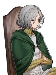 Rule 34 | 1boy, bags under eyes, bamu (bamu0504), black eyes, cloak, dungeon meshi, elf, gorget, green cloak, grey hair, highres, lazy eye, long sleeves, looking at viewer, male focus, mithrun, pointy ears, short hair, simple background, solo, tunic, uneven eyes, white background