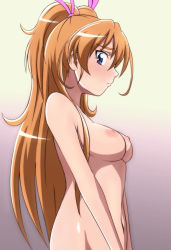 Rule 34 | 10s, 1girl, blue eyes, blush, breasts, brown hair, completely nude, houjou hibiki, long hair, looking at viewer, nipples, nude, oimanji, out-of-frame censoring, precure, profile, solo, suite precure