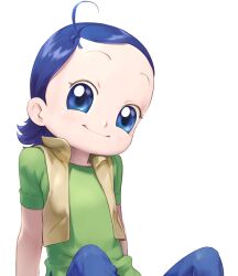 Rule 34 | 1girl, ahoge, blue eyes, blue hair, blue pants, closed mouth, flat chest, green shirt, highres, ojamajo doremi, open clothes, open mouth, open vest, pants, senoo aiko, shirt, short hair, short sleeves, simple background, smile, solo, tenshinhannnn, vest, white background, yellow vest