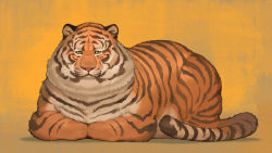 Rule 34 | animal focus, highres, jitome, looking at viewer, nishimawari kouro, no humans, original, sitting, tiger, yellow background