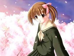 Rule 34 | 00s, cherry blossoms, fukuzawa yumi, highres, maria-sama ga miteru, school uniform, serafuku, solo