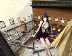 Rule 34 | 1girl, balcony, bird, black eyes, black hair, chef no kimagure salad, commentary request, curtains, dress, long hair, navel, original, owl, smile, solo, surreal, window