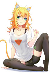 Rule 34 | 1girl, absurdres, animal ear fluff, animal ears, arm support, bike shorts, black bra, black thighhighs, blonde hair, bra, breasts, cat ears, cat tail, collarbone, feet, hair between eyes, highres, long hair, looking at viewer, medium breasts, nail polish, original, see-through, shirt, shorts, simple background, sitting, smile, solo, sonikey0 0, sports bra, spread legs, t-shirt, tail, thighhighs, toes, underwear, white background, zettai ryouiki