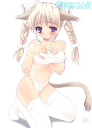Rule 34 | 1girl, animal ears, blush, bra, braid, breasts, cat ears, highleg, highleg panties, lace, lace-trimmed legwear, lace trim, lingerie, m ecchi kei, panties, solo, thighhighs, twin braids, twintails, underboob, underwear, underwear only, white bra, white panties, white thighhighs
