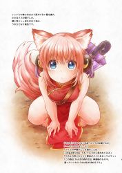 Rule 34 | 1girl, animal ear fluff, animal ears, barefoot, blue eyes, chawa (chawawa), china dress, chinese clothes, dress, from above, full body, gintama, hair between eyes, kagura (gintama), looking at viewer, oil-paper umbrella, pink hair, purple umbrella, red dress, short hair, side slit, simple background, sleeveless, sleeveless dress, solo, squatting, tail, umbrella, white background, wolf ears, wolf tail