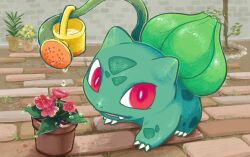 Rule 34 | brick floor, brick wall, bulbasaur, commentary request, creatures (company), fangs, fangs out, flower, flower pot, game freak, gen 1 pokemon, grass, holding, holding watering can, kishimoto aya, looking at viewer, nintendo, open mouth, plant, pokemon, pokemon (creature), red eyes, red flower, solo, vine whip, water drop, watering can