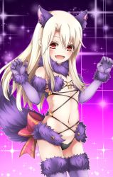 Rule 34 | 1girl, animal ears, black panties, blush, breasts, cosplay, elbow gloves, fang, fate/grand order, fate/kaleid liner prisma illya, fate (series), fur collar, fur trim, gloves, highres, illyasviel von einzbern, long hair, looking at viewer, mash kyrielight, mash kyrielight (dangerous beast), mash kyrielight (dangerous beast) (cosplay), navel, official alternate costume, open mouth, panties, red eyes, revealing clothes, rin (0917608), small breasts, smile, solo, sparkle, sparkle background, tail, thighhighs, underwear, white hair, wolf ears, wolf tail