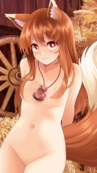 Rule 34 | 1girl, animal ear fluff, animal ears, arms behind back, blush, breasts, bright pupils, collarbone, cowboy shot, hair censor, hair over breasts, highres, holo, jewelry, long hair, looking at viewer, louis lloyd-judson, navel, necklace, nude, orange hair, red eyes, small breasts, smile, solo, spice and wolf, tail, wagon wheel, wheat, wolf ears, wolf girl, wolf tail