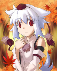 Rule 34 | 1girl, animal ears, bare shoulders, detached sleeves, eyebrows, female focus, hat, inubashiri momiji, leaf, looking at viewer, maple leaf, mizumi (artist), outdoors, pom pom (clothes), red eyes, short hair, solo, tail, tokin hat, touhou, tree, upper body, white hair, wide sleeves, wolf ears, wolf tail