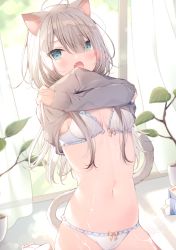 Rule 34 | 1girl, absurdres, animal ears, barefoot, blue eyes, bra, breasts, cat ears, cat girl, cat tail, curtains, fang, front-tie bra, front-tie top, gradient eyes, green eyes, grey sweater, hair over breasts, highres, long hair, long sleeves, looking at viewer, mafuyu (chibi21), milk, milk carton, multicolored eyes, navel, open bra, open mouth, original, panties, plant, potted plant, silver hair, sitting, small breasts, stomach, suggestive fluid, sweater, tail, underwear, undressing, window