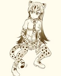 Rule 34 | 10s, 1girl, animal ears, ankle boots, boots, breast pocket, cheetah (kemono friends), cheetah ears, cheetah tail, closed mouth, collared shirt, commentary request, elbow gloves, full body, gloves, gradient hair, greyscale, kemono friends, long hair, looking to the side, monochrome, multicolored hair, necktie, pink background, pleated skirt, pocket, shirt, short sleeves, simple background, skirt, solo, squatting, tail, thighhighs, totokichi, very long hair, wing collar