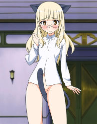 Rule 34 | 00s, 1girl, animal ears, bare legs, blonde hair, blush, bottomless, brown eyes, cat ears, cat tail, covering privates, covering crotch, dress shirt, glasses, highres, long hair, no legwear, no panties, non-web source, perrine h. clostermann, shirt, solo, strike witches, tail, third-party edit, world witches series
