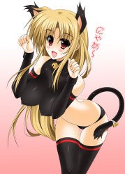 Rule 34 | 00s, 1girl, :d, animal ears, bell, black panties, blonde hair, breasts, collarbone, covered erect nipples, fate testarossa, gradient background, highres, huge breasts, impossible clothes, jingle bell, leaning forward, long hair, looking at viewer, lyrical nanoha, mahou shoujo lyrical nanoha strikers, nipples, no pants, oda ken&#039;ichi, open mouth, panties, paw pose, red eyes, smile, solo, tail, tail bell, tail ornament, thighhighs, underwear
