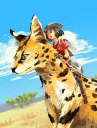Rule 34 | 10s, 1girl, alternate height, animal, animalization, backpack, bag, black eyes, black gloves, black hair, blue sky, brown footwear, cloud, cloudy sky, commentary request, day, gloves, hat, hat feather, hatching (texture), helmet, horizon, kaban (kemono friends), kemono friends, outdoors, oversized animal, pith helmet, riding, savannah, serval, short hair, short sleeves, size difference, sketch, sky, tree, white bag